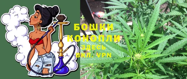 прущий лед Пересвет