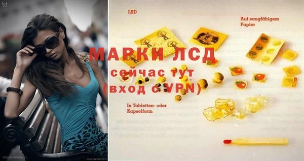 PSILOCYBIN Белокуриха